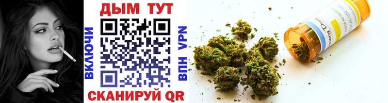 Каннабис SATIVA & INDICA  Купить закладки  Свободный 